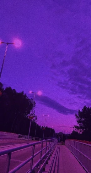 Purple-Aesthetic-379_640_1267