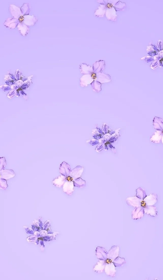 Purple-Aesthetic-417_641_1102.webp