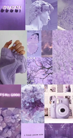 Purple-Aesthetic-427_736_1308