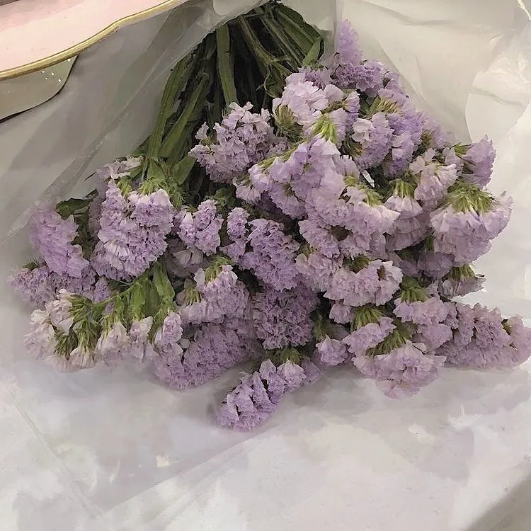 Purple-Aesthetic-442_750_750.webp