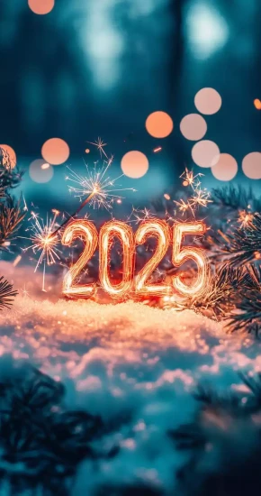 happy-new-year-2025-42