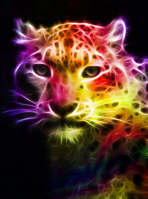 neonanimal-104.jpg.webp