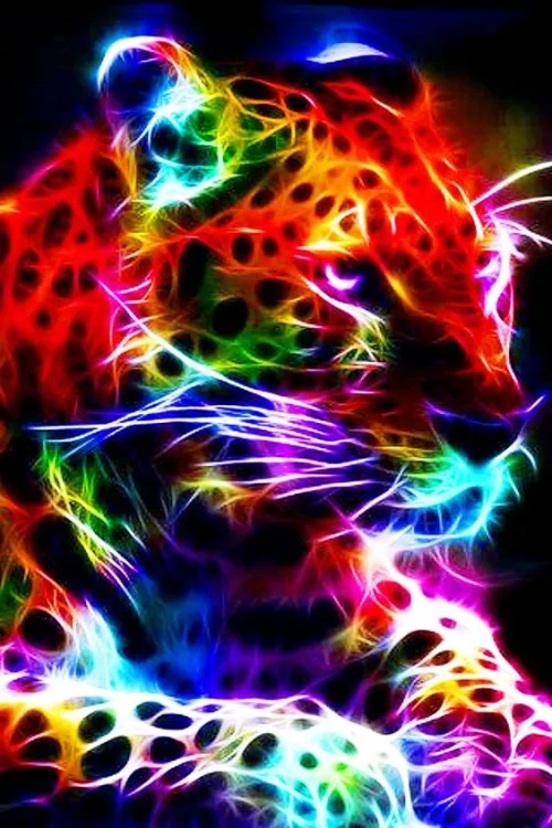 neonanimal-195.jpg.webp