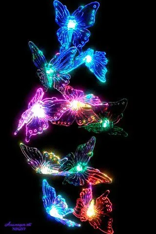 neonanimal-38.jpg.webp