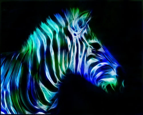 neonanimal-80.jpg.webp